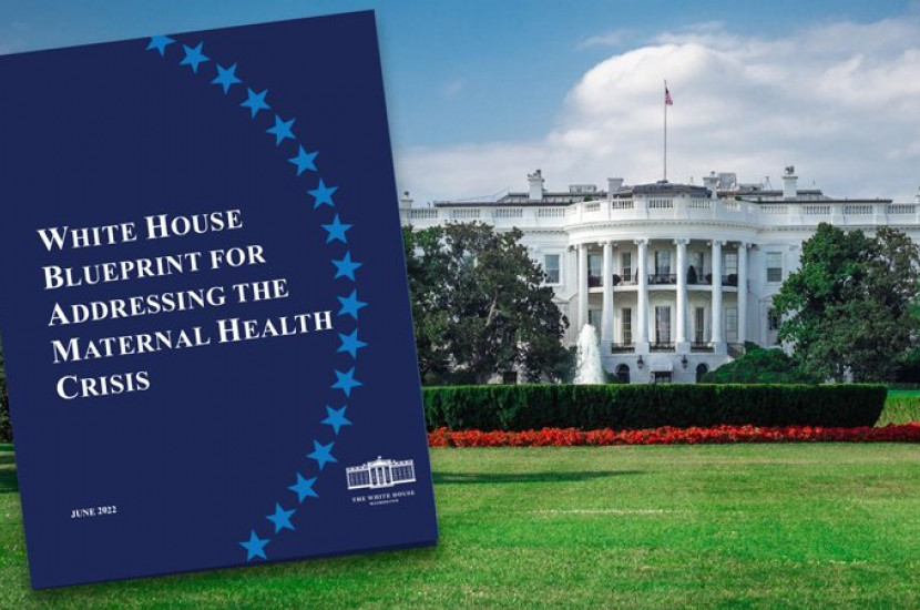 white house image on maternal health